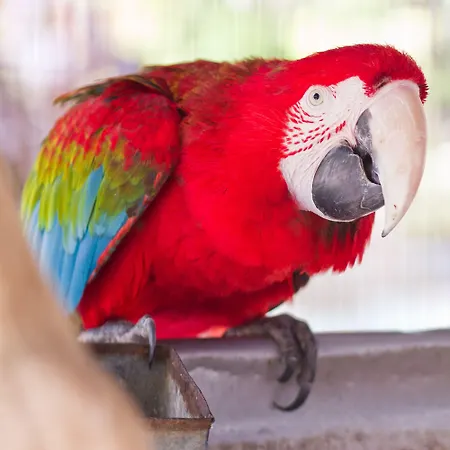 Park Club Europe Resort